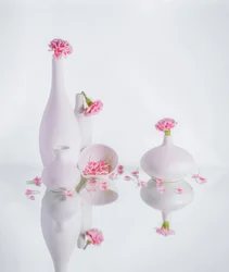 Stille rosa Vasen