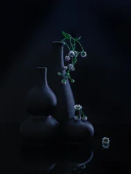 Gelassene Vasen und Blüten