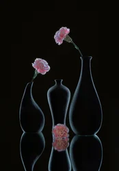 Elegantes Blumenstillleben
