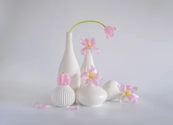 Zartrosa Tulpenstillleben