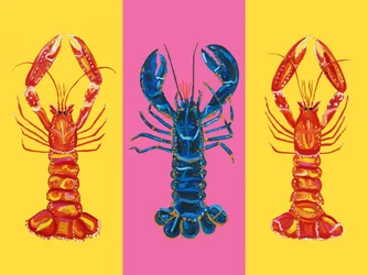 Hummer Langoustinen Pop Art 2