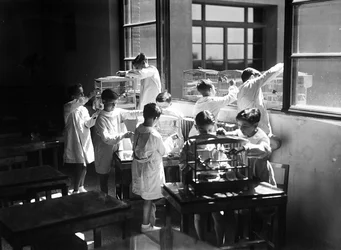 Villa Rosa Maltoni Mussolini: Schüler beobachten Vögel im Käfig