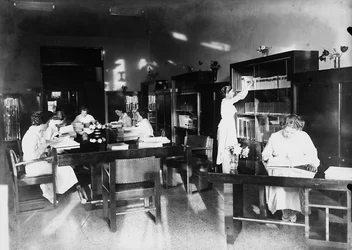 Villa Rosa Maltoni Mussolini: Studium in der Bibliothek