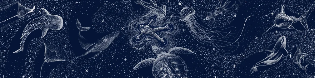 Kosmischer Ozeantraum