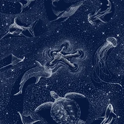 Kosmische Ozeanreise