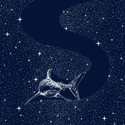 Großer Weißer Galaxie