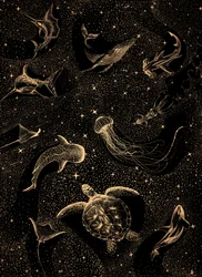 Meereslebensgalaxie