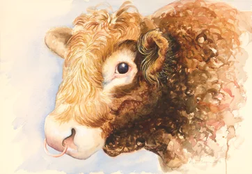 Adam der Stier, 2016, Aquarell