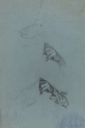 Handstudien