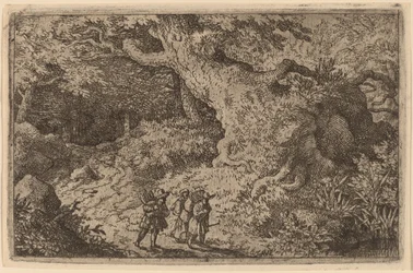 Ein dichter Wald