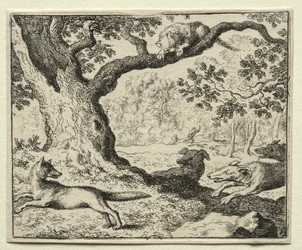 Reineke Fuchs: Die untreue Katze