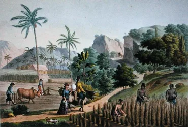 Insel Guam: Landwirtschaftliche Arbeiten, aus 
