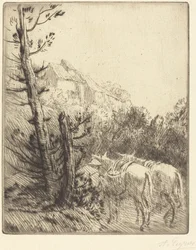 Bauernhof auf dem Hügel La ferme sur le coteau