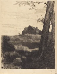 Bauernhof mit großem Baum