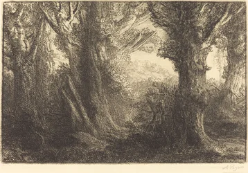 Im Wald von Conteville