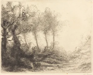 Landschaft