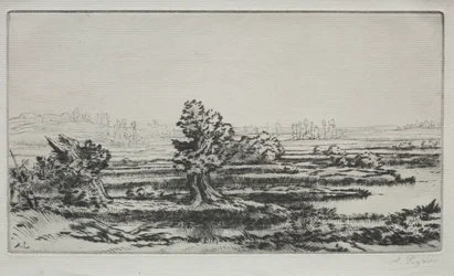 Landschaft