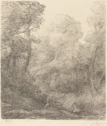 Landschaft: Morgennebel