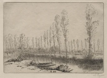 Bei Amiens, die Torfmoore
