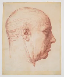Profil eines Mannes