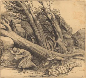 Tornado
