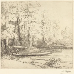 Bäume am Wasser Les arbres au bord de l