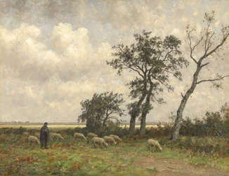 Landschaft in Drenthe