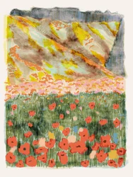Lebendige Bergmohnblumen