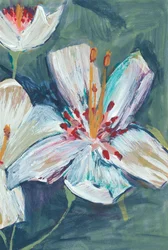 Lebendige weiße Lilienblüten