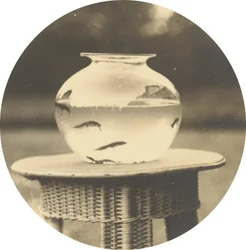 Ohne Titel (Goldfischglas)
