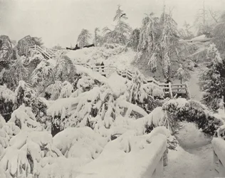 Winterlaub auf Luna Island