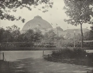 Zentrum der bewaldeten Insel