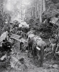 Aufstieg auf dem Dyea Trail auf dem Weg zum Chilkoot Pass während des Klondike-Goldrauschs (1897-98)