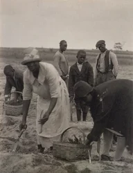 Feldarbeit