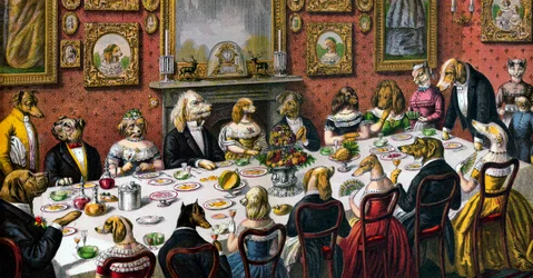 Formelles Abendessen für Hunde