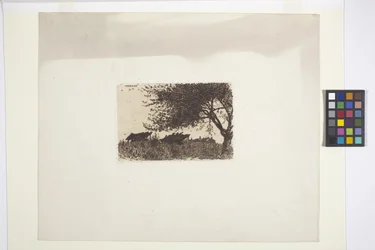 Landschaft