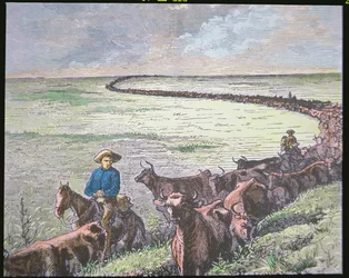 Longhorn-Rindertrieb von Texas nach Abilene, Kansas, ca. 1870er