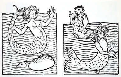 Meerjungfrauen und Meermänner, aus The World Guide to Gnomes, Fairies, Elves and Other Little People von Thomas Keightley (1789-1872), veröffentlicht 1880