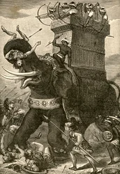 Persischer Kriegselefant in der Schlacht
