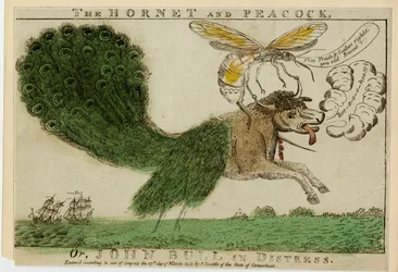 Die Hornisse und der Pfau oder John Bull in Not