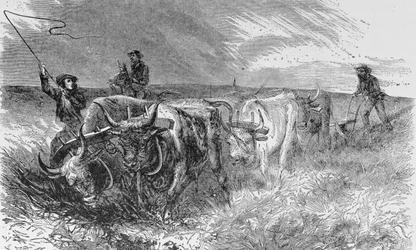 Der Präriepflug, Illustration aus 