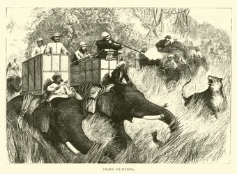 Tigerjagd