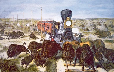 Zugpassagiere auf der Kansas Pacific Railroad, die in den 1870er Jahren Büffel zum Sport schießen