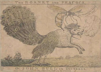 Die Hornisse und der Pfau, oder John Bull in Not