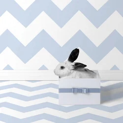 Bunnies 06, 2018