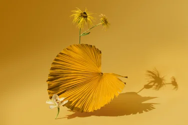 Ikebana 05, 2018