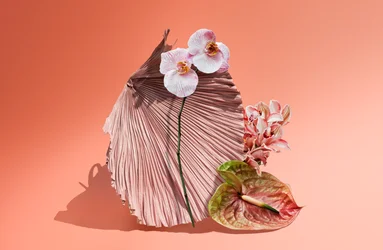 Ikebana 06, 2018