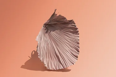 Ikebana 07, 2018