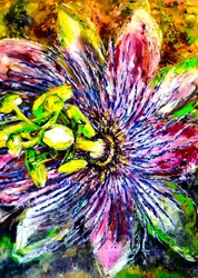 Vibrante Passionsblume