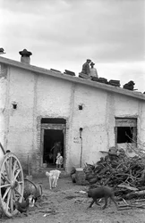 CROTONE LAND - EIN DACH ÜBER DEM KOPF